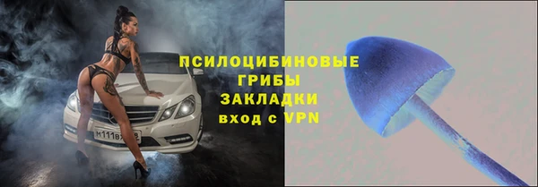ешки Алексеевка